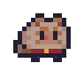 鬃毛貓
