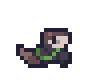 水獺